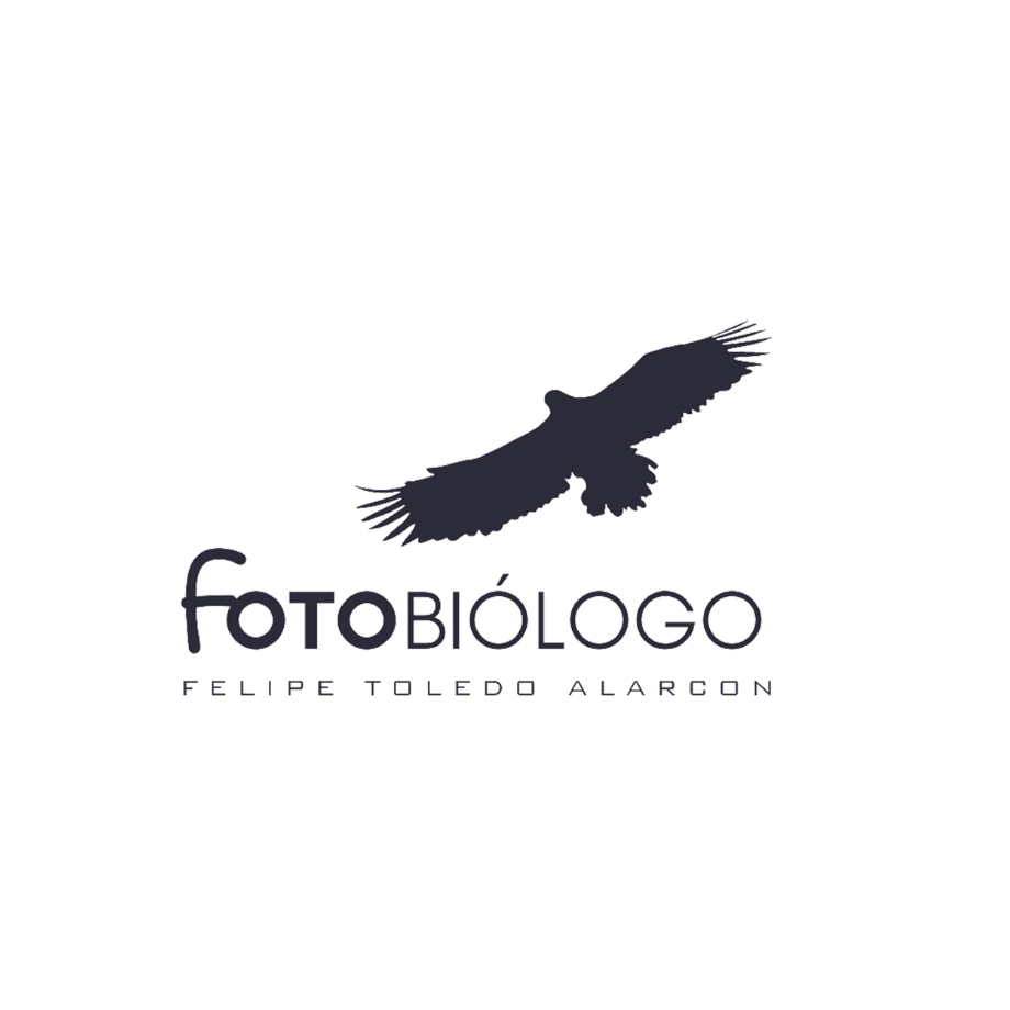 Fotobiologo