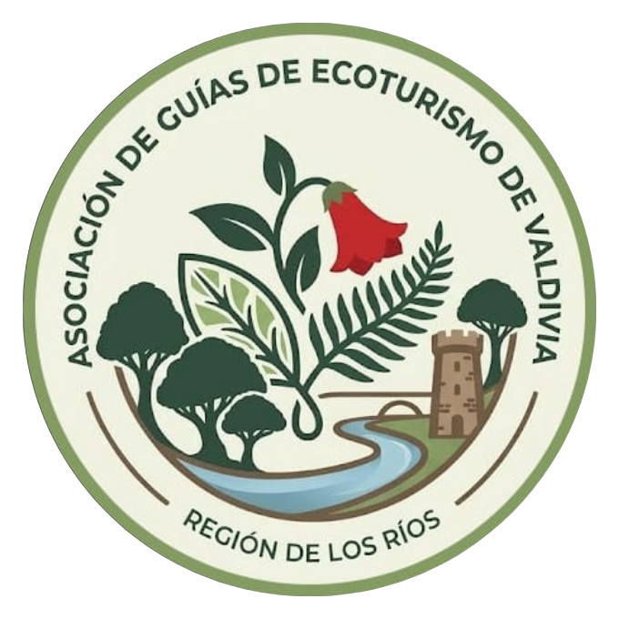 Guías EcoTurismo