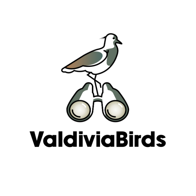 Vadivia Birds